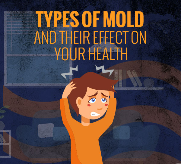 Types of Mold and Their Effect on Your Health [infographic]