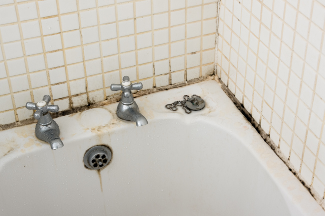 Do You Need Mold Removal? 3 Ways to Tell